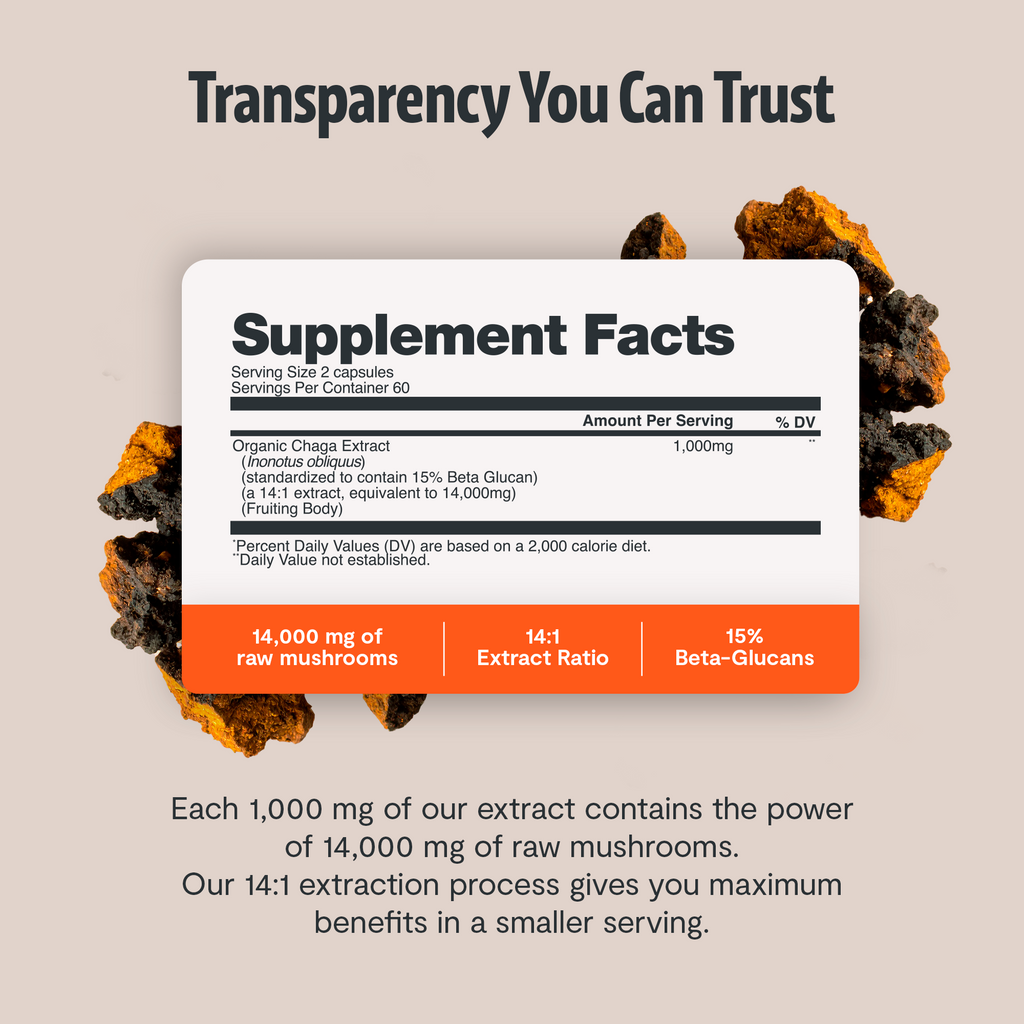 Chaga Mushroom Extract Capsules