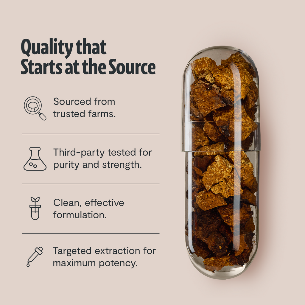 Chaga Mushroom Extract Capsules